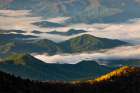 Early morning spring mountains and mist-from Clingmans Dome area-Great Smoky Mountains NP-NC Art Print